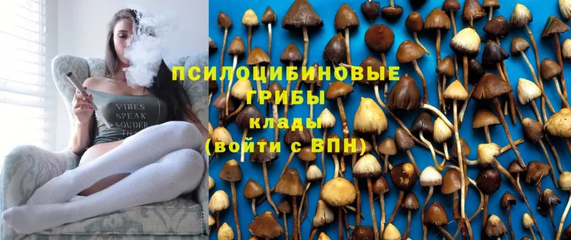 Псилоцибиновые грибы Magic Shrooms  купить наркотики сайты  даркнет телеграм  Ставрополь 